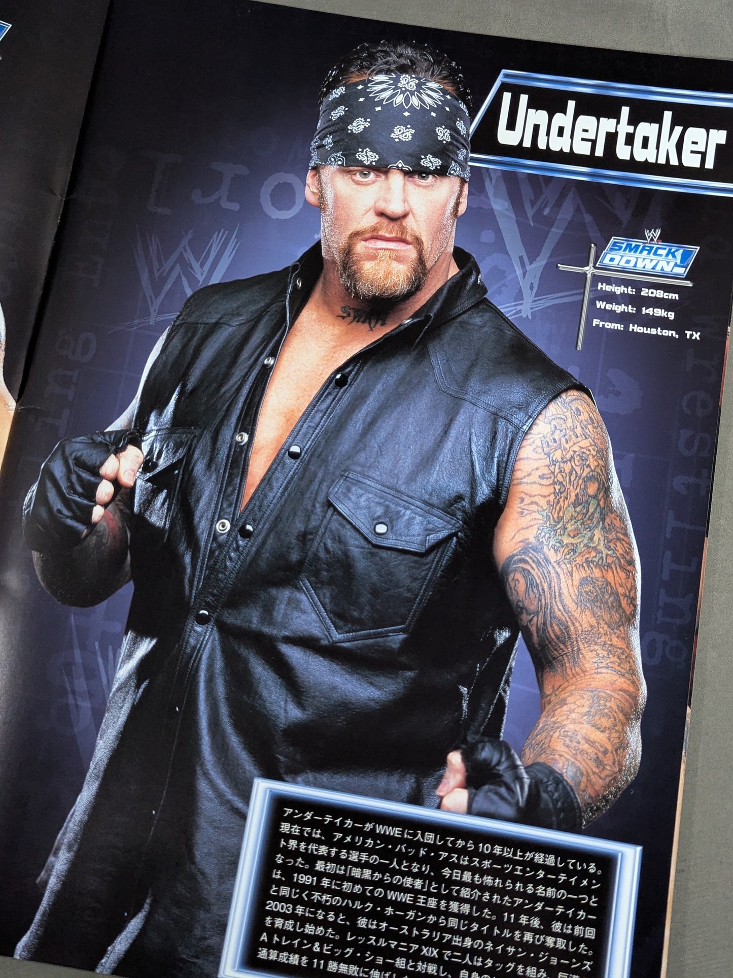 WWE SMACKDOWN! UNLEASHED IN THE EAST