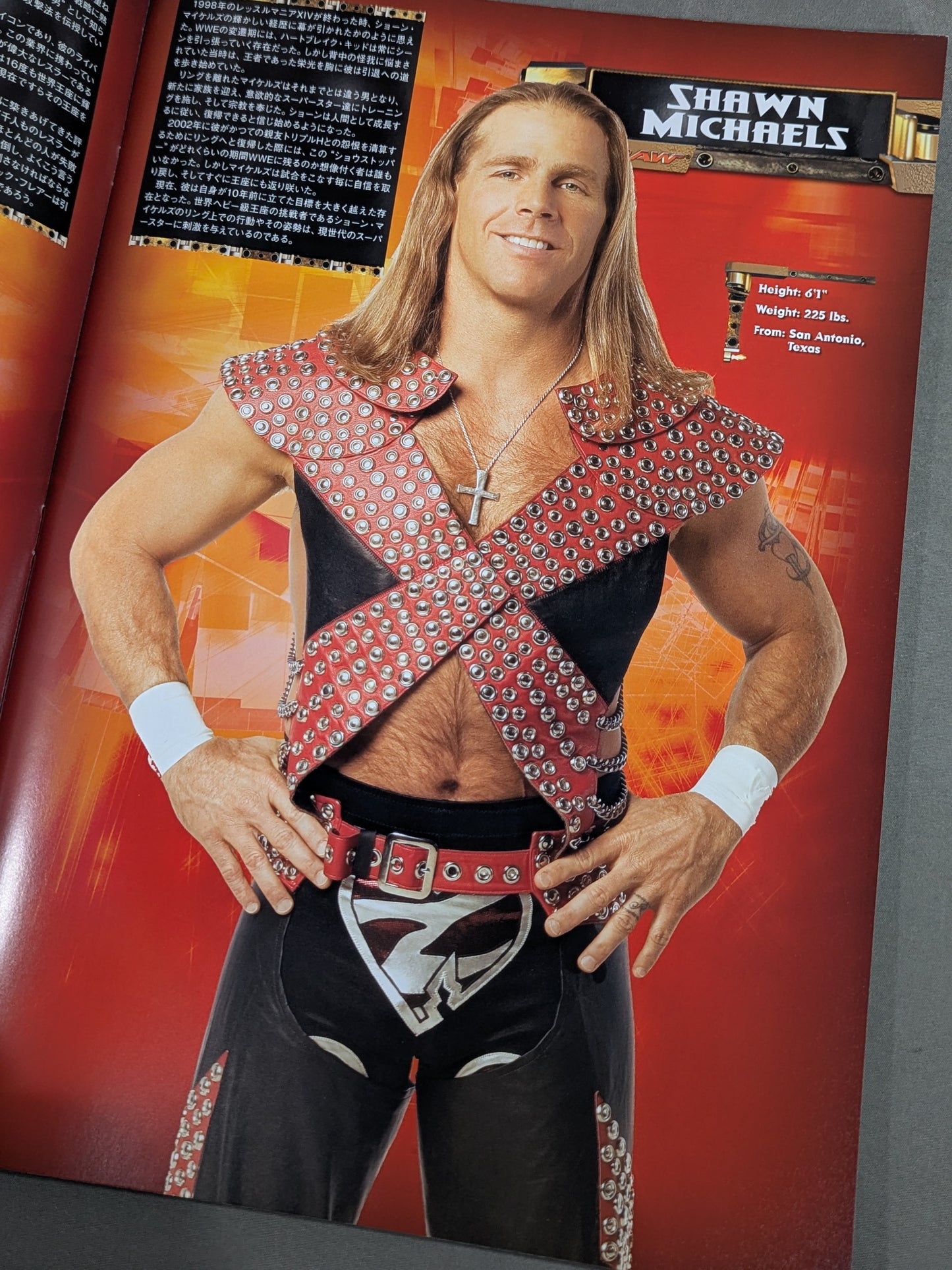 RAW＆SMACKDOWN OFFICIAL SOUVENIR PROGRAM 2005 (A)