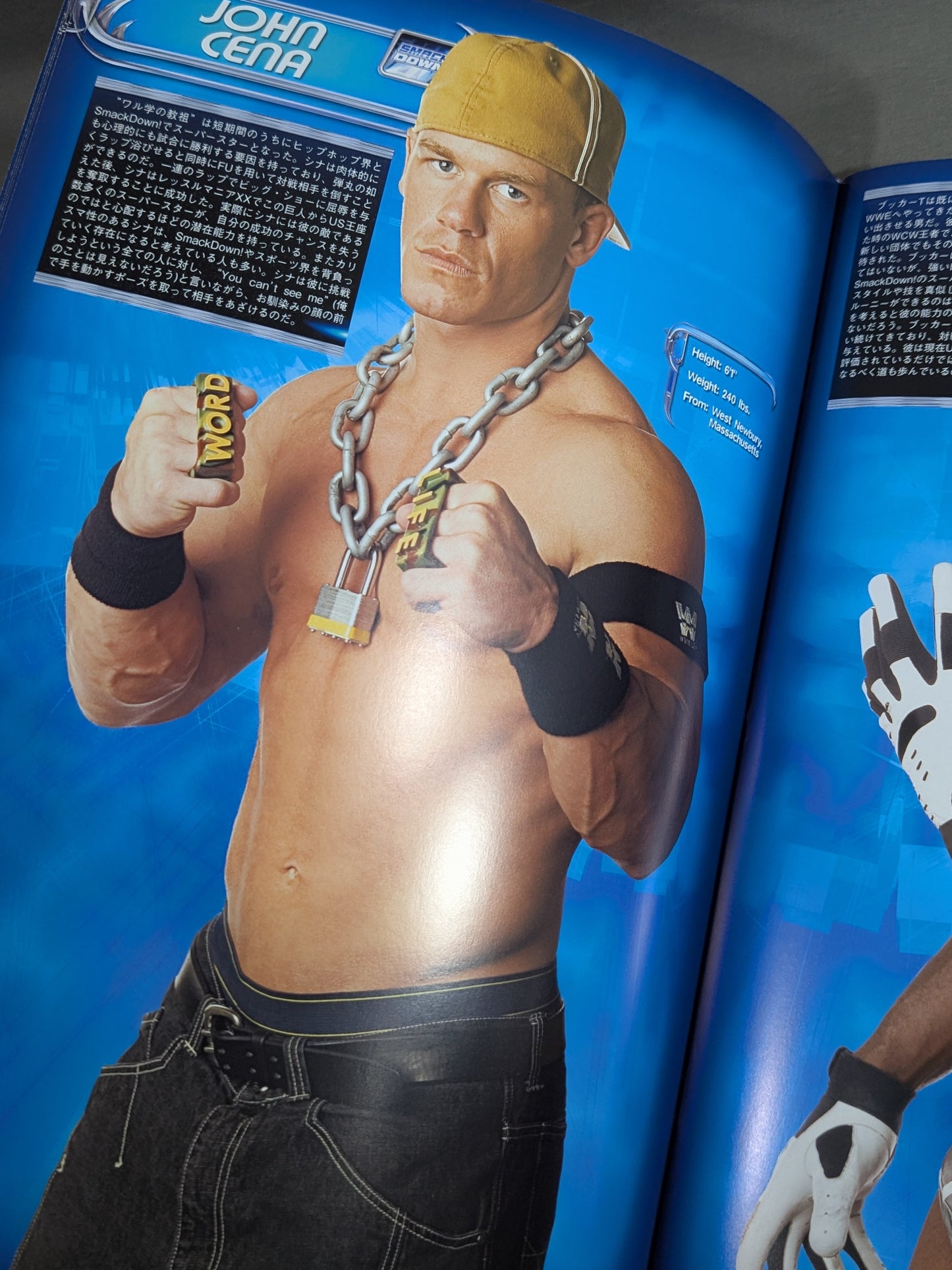 RAW＆SMACKDOWN OFFICIAL SOUVENIR PROGRAM 2005 (A)