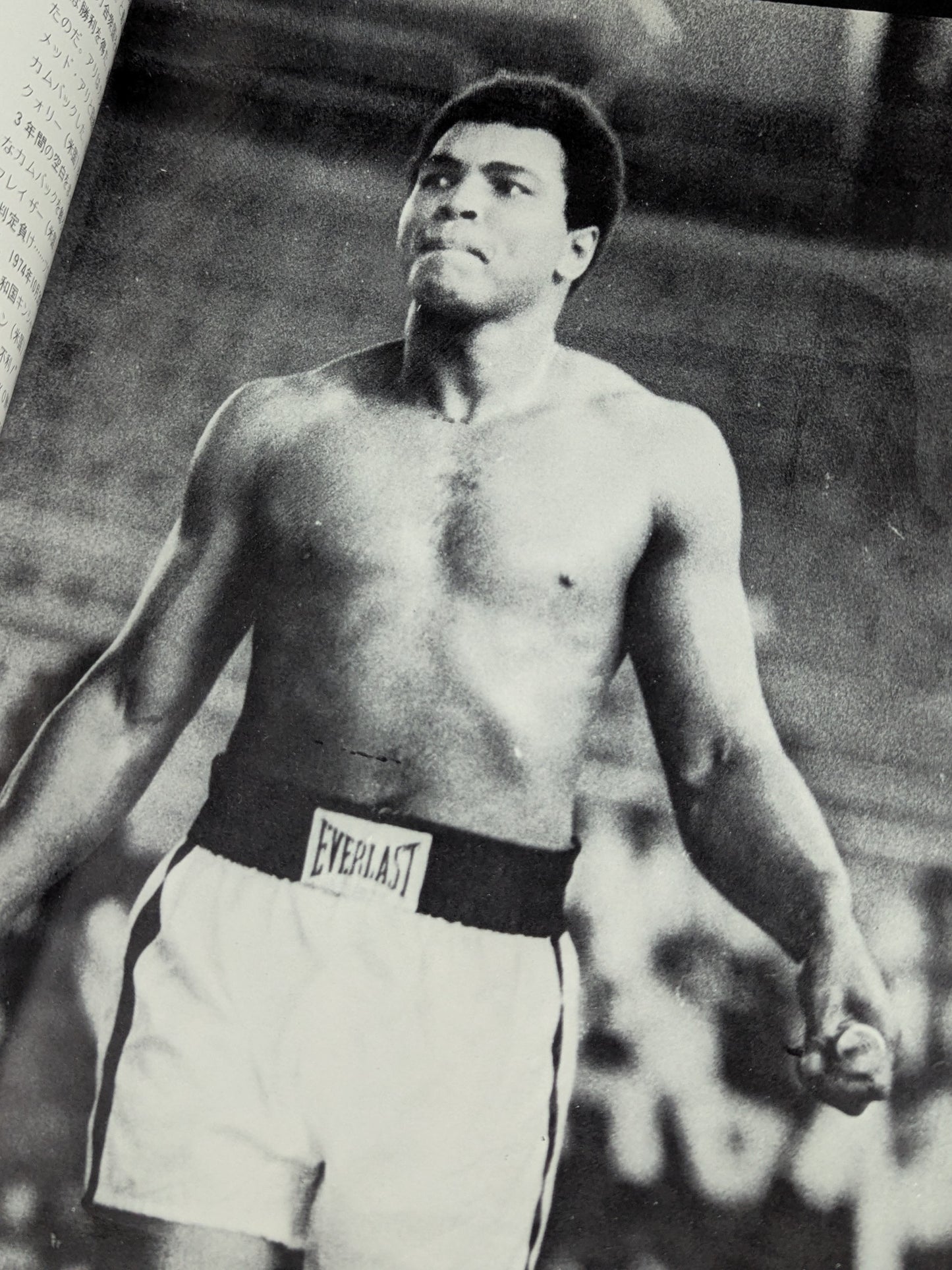 ★アントニオ猪木vsモハメド・アリ★ 格闘技世界一決定戦