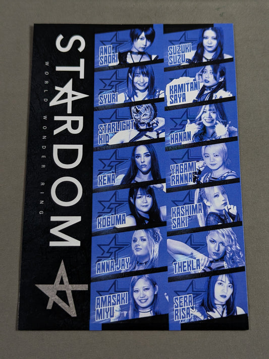 ★5 STAR GP 2024 BLUE STARS Postcard