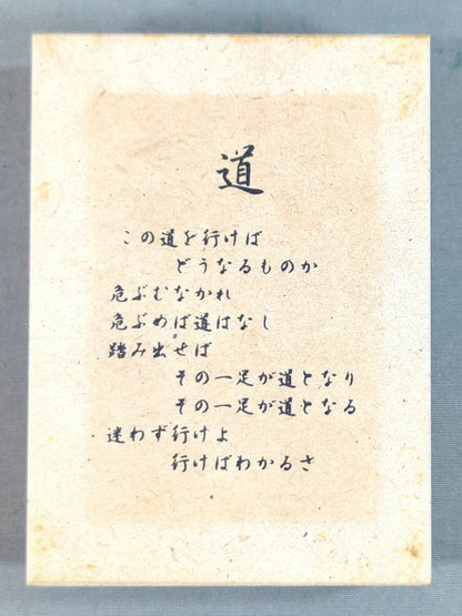 ★ Fighting Spirit Forever★ Antonio Inoki Limited ZIPPO