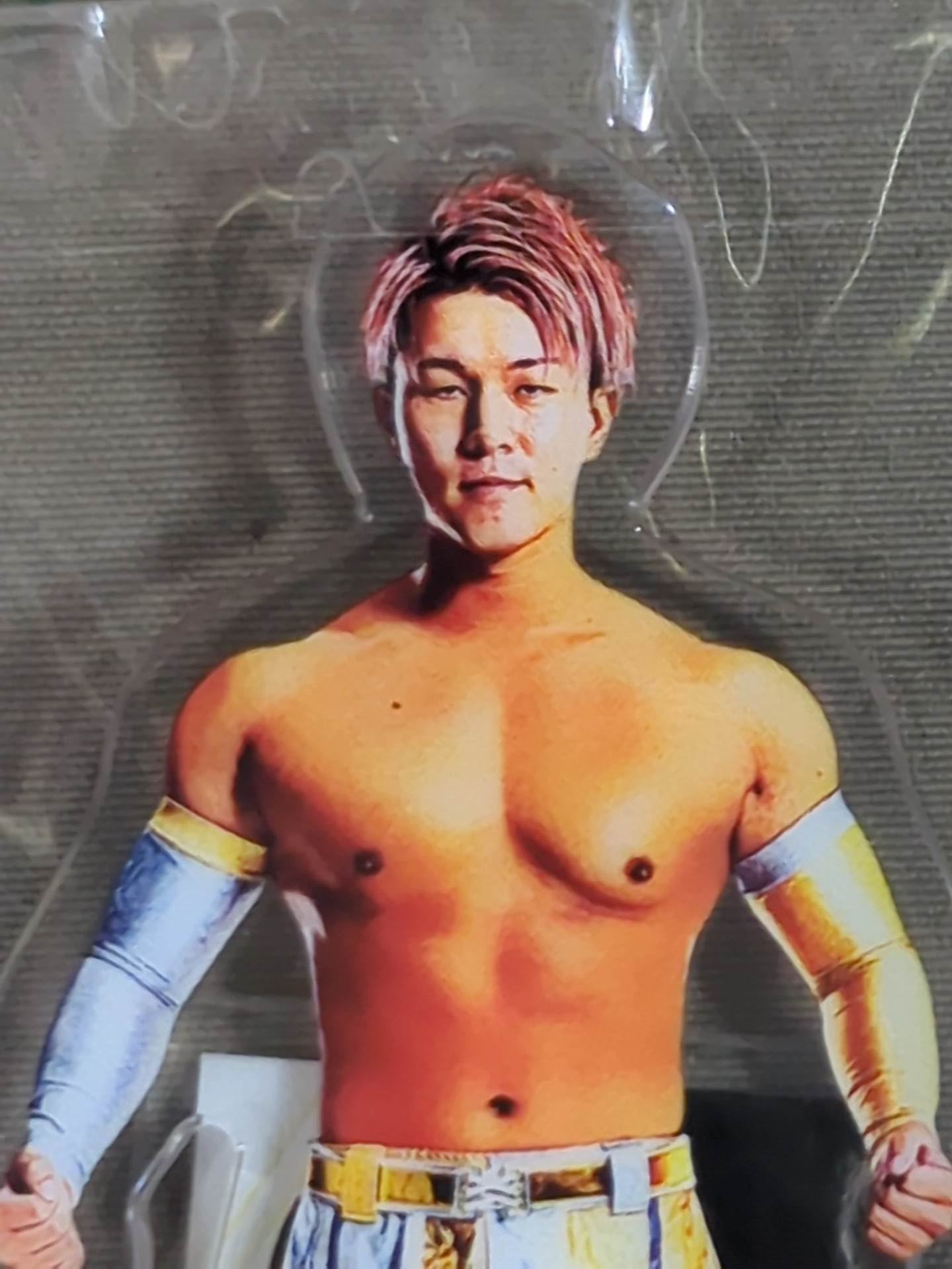 青柳亮生 全日本プロレス50周年 アクリルスタンド(B)