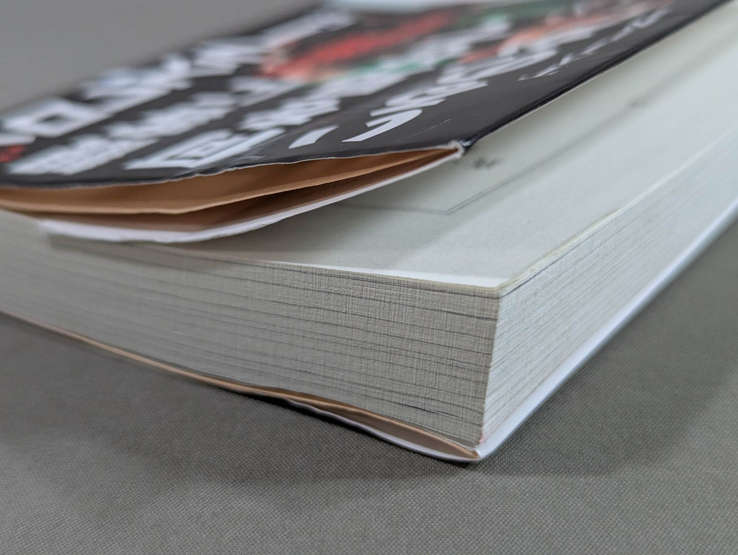 What a true pro wrestler shows to the audience What I have learned after 30 years of doing it