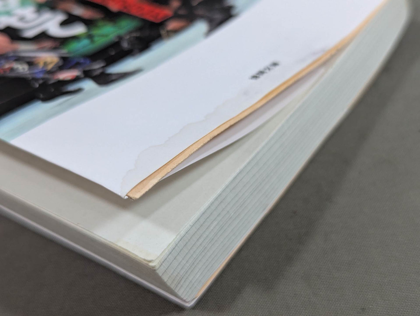 What a true pro wrestler shows to the audience What I have learned after 30 years of doing it