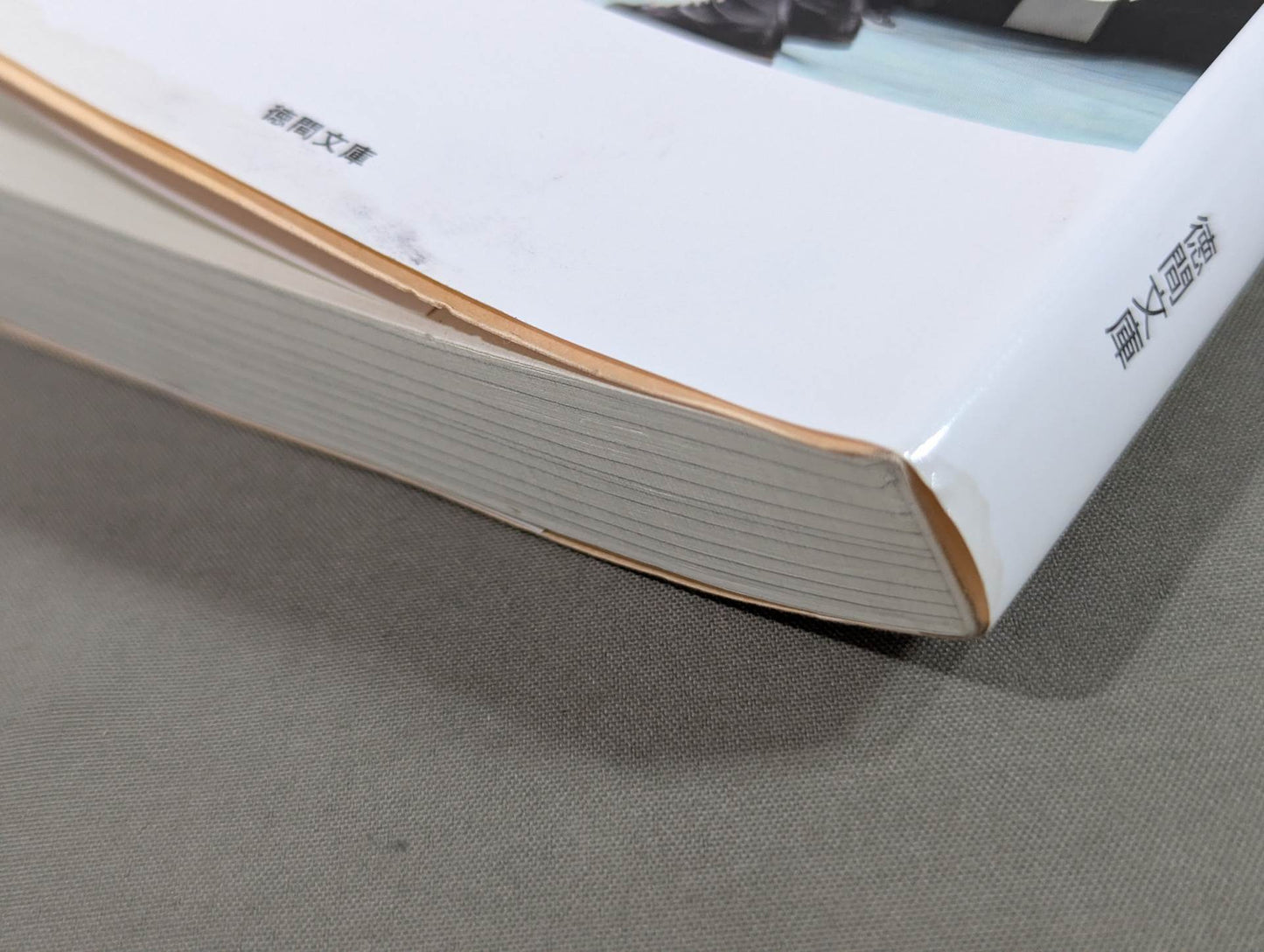 What a true pro wrestler shows to the audience What I have learned after 30 years of doing it