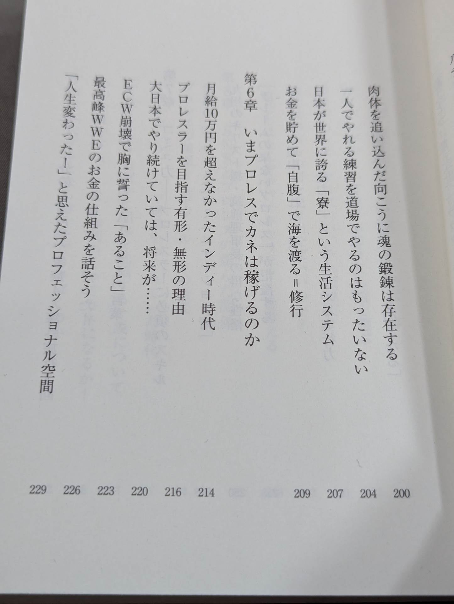 What a true pro wrestler shows to the audience What I have learned after 30 years of doing it