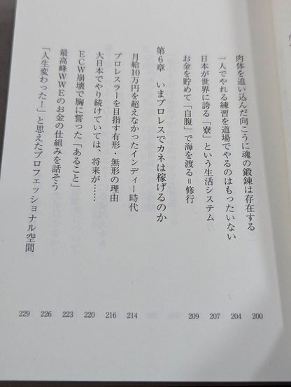 What a true pro wrestler shows to the audience What I have learned after 30 years of doing it