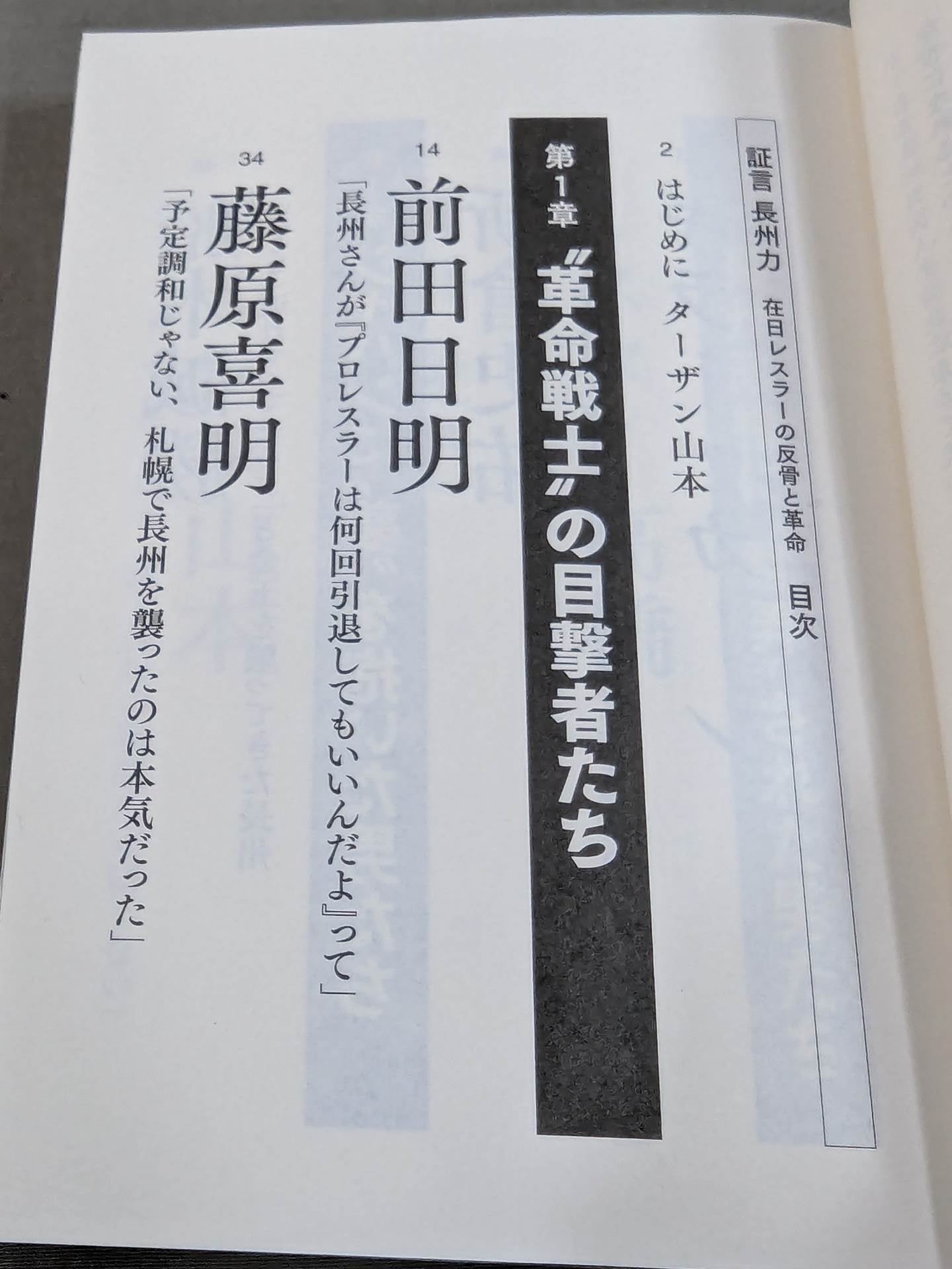 Testimony Riki Choshu : The Rebellion and Revolution of Zainichi Wrestlers