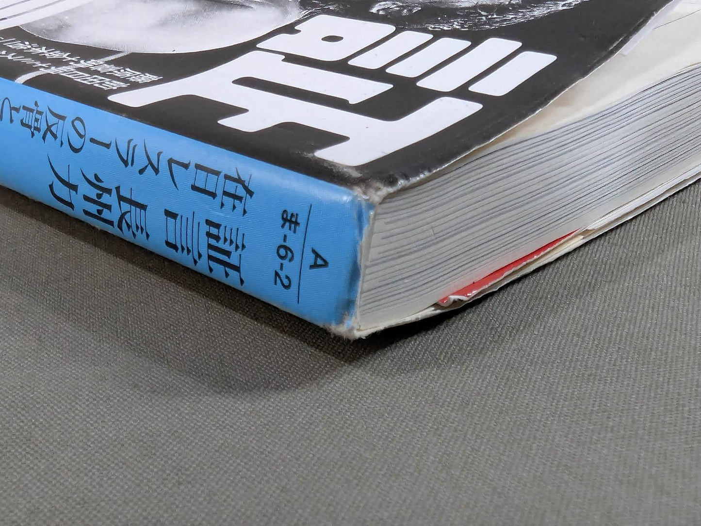 Testimony Riki Choshu : The Rebellion and Revolution of Zainichi Wrestlers