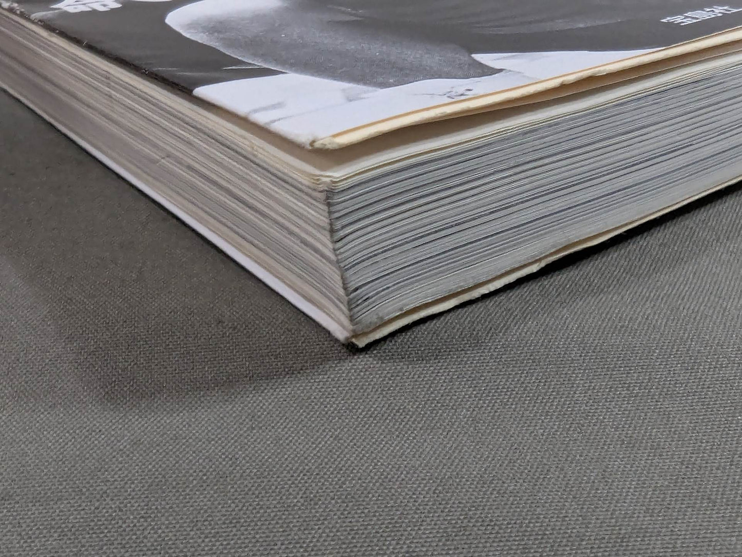 Testimony Riki Choshu : The Rebellion and Revolution of Zainichi Wrestlers