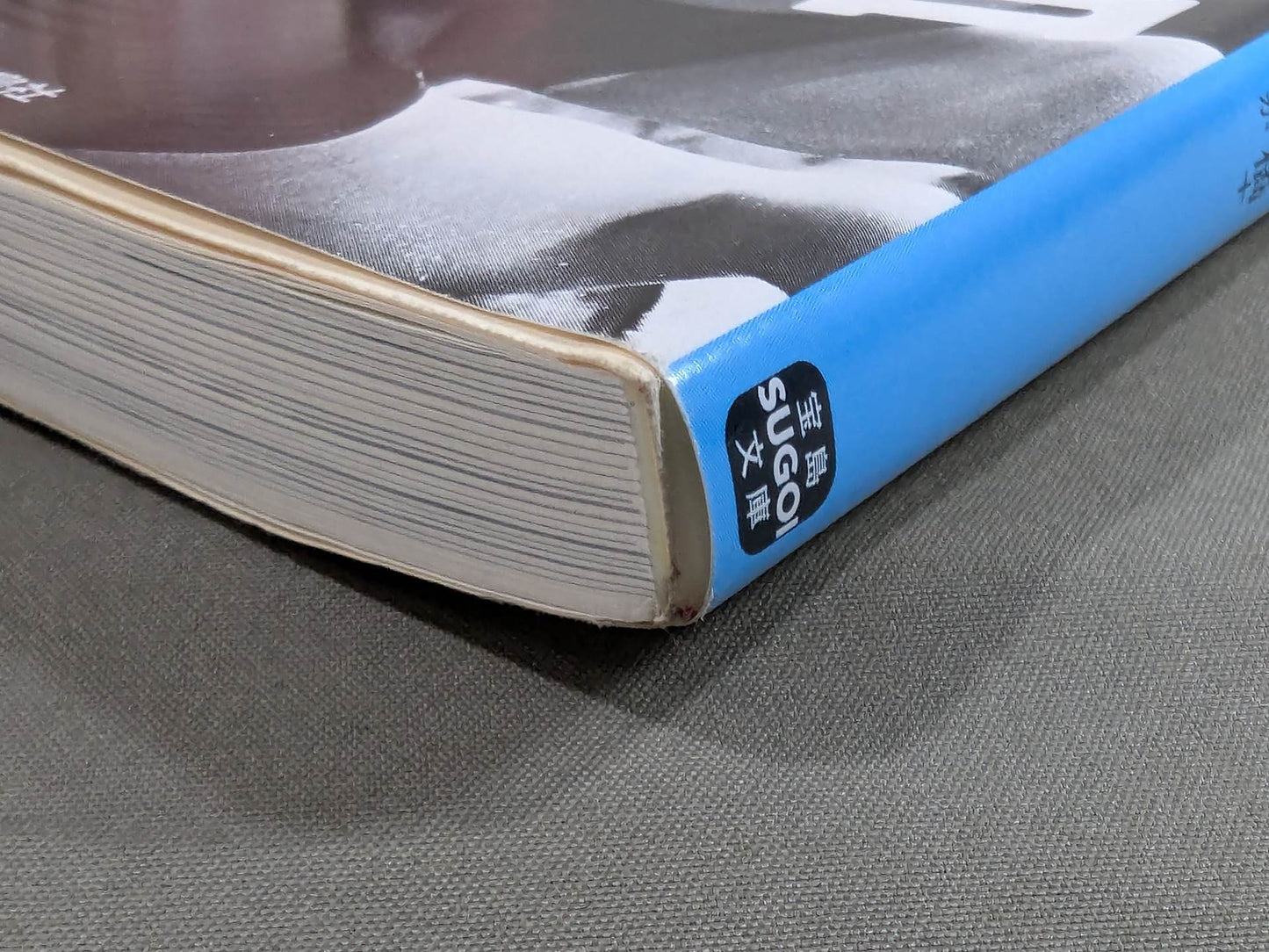 Testimony Riki Choshu : The Rebellion and Revolution of Zainichi Wrestlers