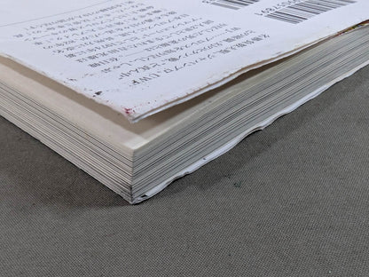 Testimony Riki Choshu : The Rebellion and Revolution of Zainichi Wrestlers