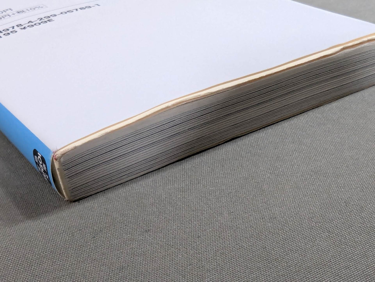 Testimony Riki Choshu : The Rebellion and Revolution of Zainichi Wrestlers