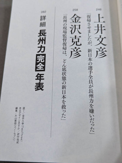 Testimony Riki Choshu : The Rebellion and Revolution of Zainichi Wrestlers