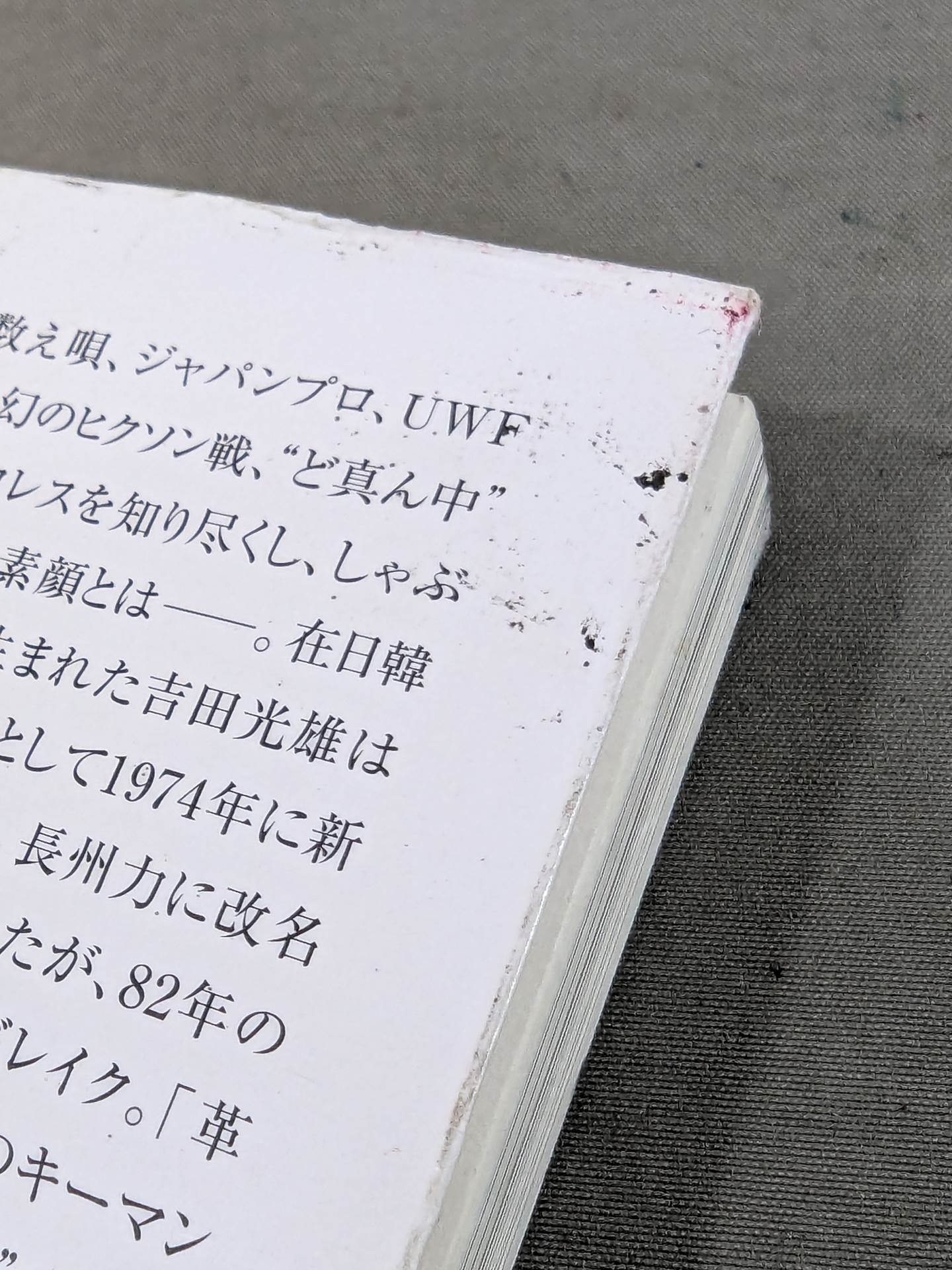 Testimony Riki Choshu : The Rebellion and Revolution of Zainichi Wrestlers