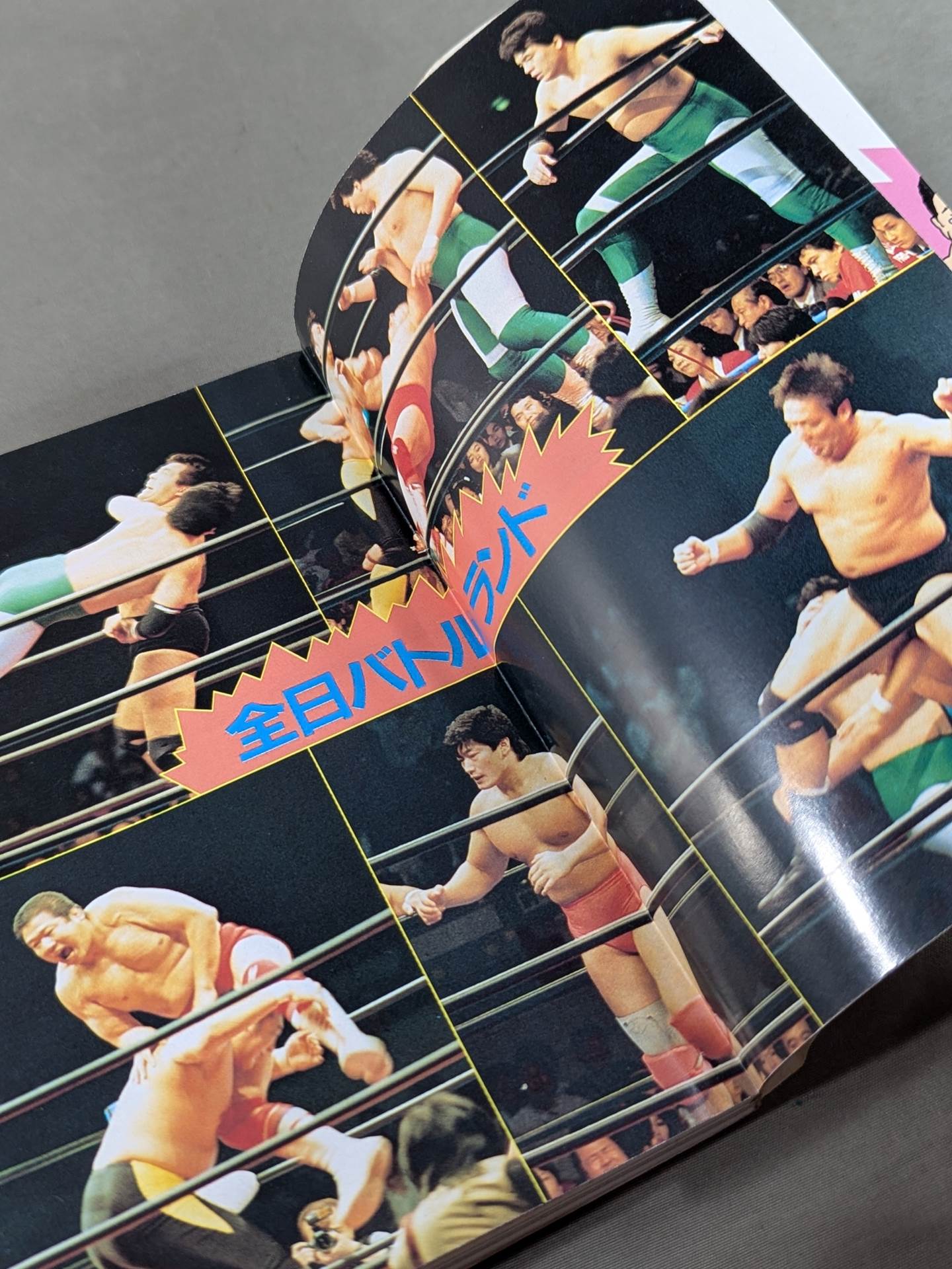 The latest Pro Wrestling Encyclopedia (5) Royal Road ☆ All Japan Pro Wrestling 