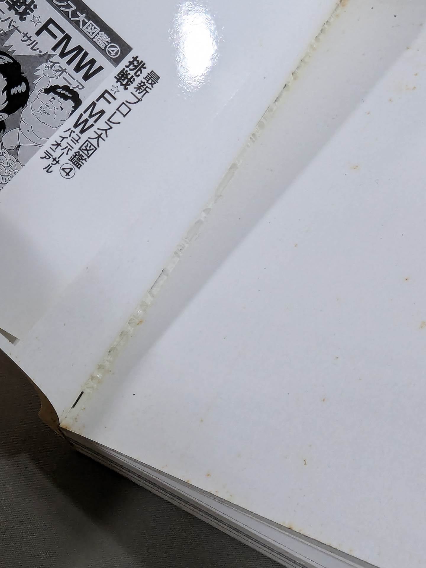 The latest Pro Wrestling Encyclopedia (5) Royal Road ☆ All Japan Pro Wrestling 