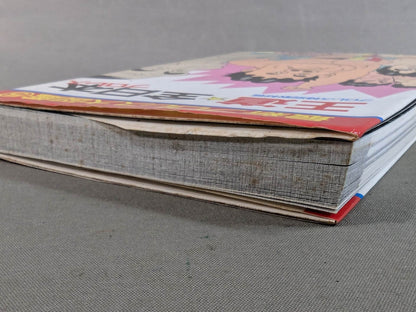 The latest Pro Wrestling Encyclopedia (5) Royal Road ☆ All Japan Pro Wrestling 