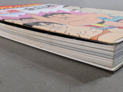 The latest Pro Wrestling Encyclopedia (5) Royal Road ☆ All Japan Pro Wrestling 