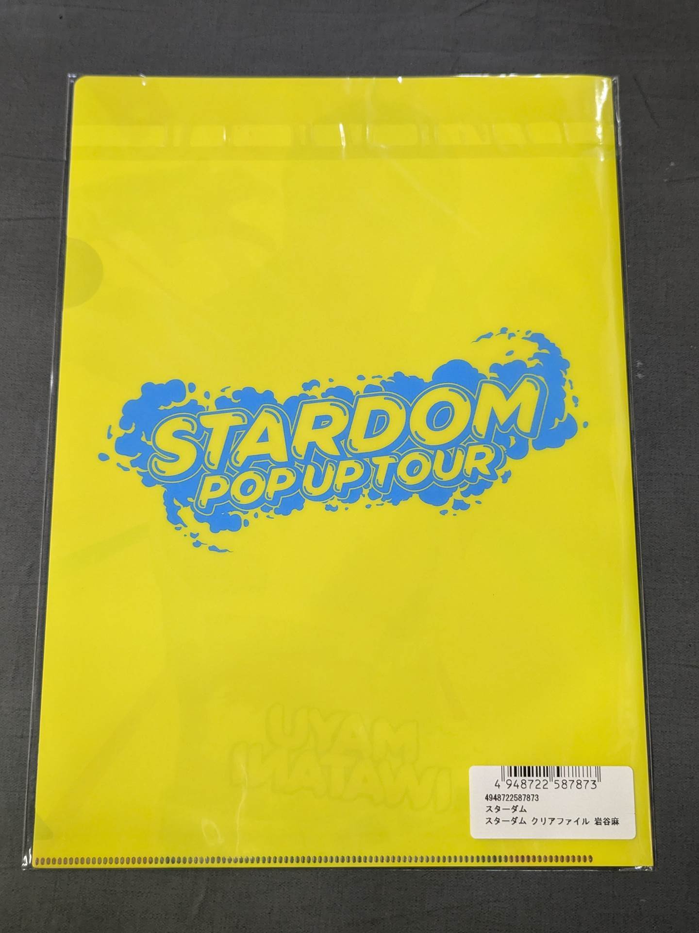 Mayu Iwatani  STARDOM POP UP TOUR plastic file folder 