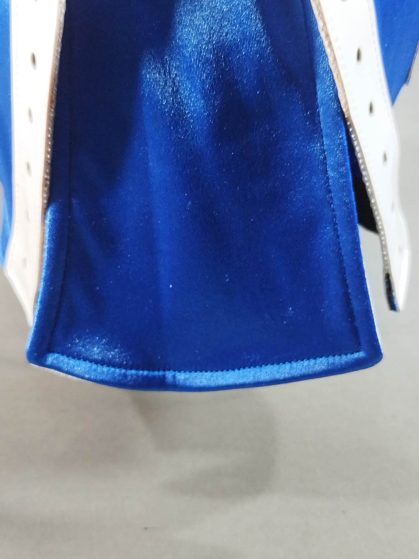 ジ・ウィンガー