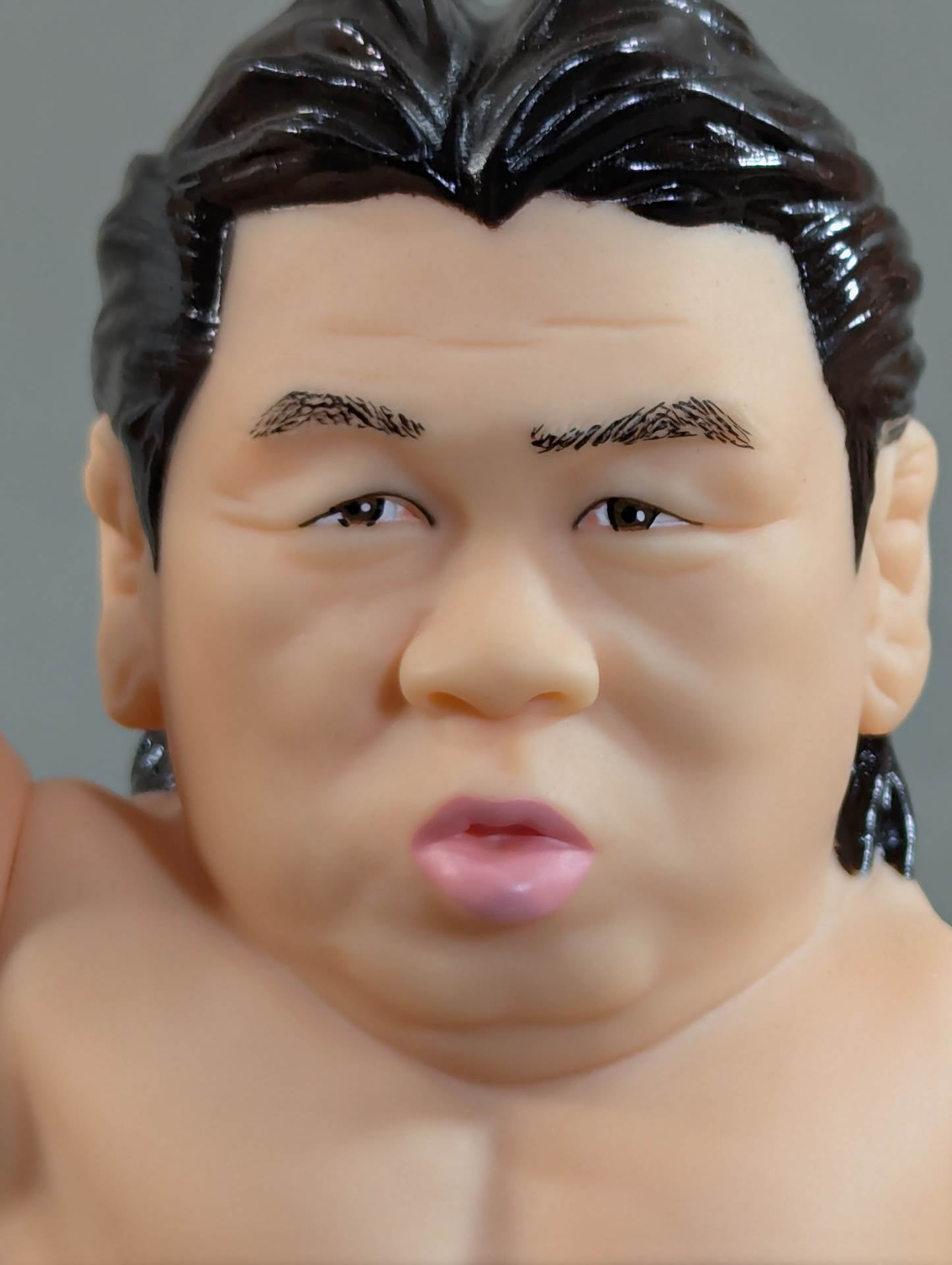 長州力 16dソフビコレクション – 闘道館