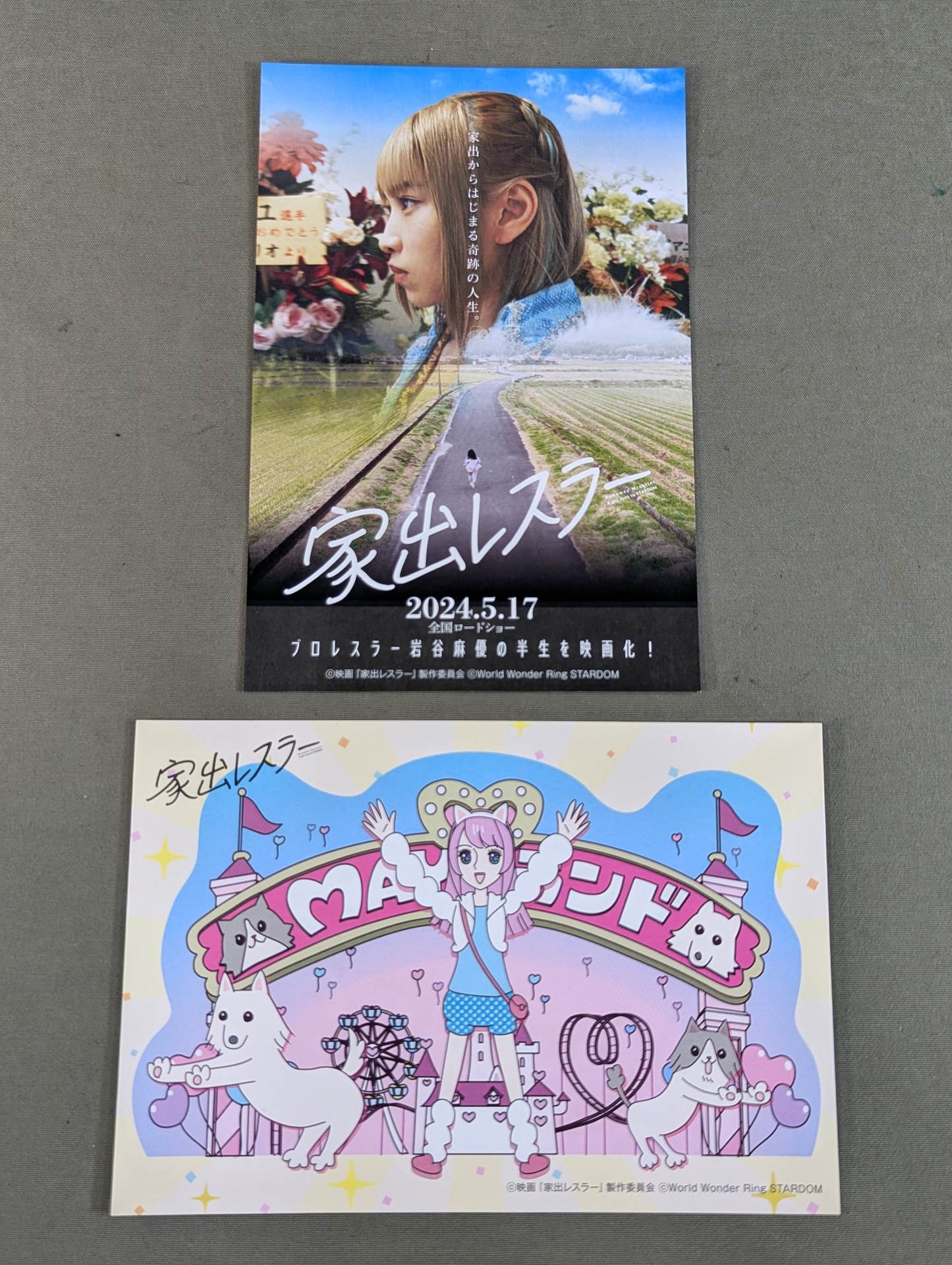 Runaway Wrestler Postcard Set(1)