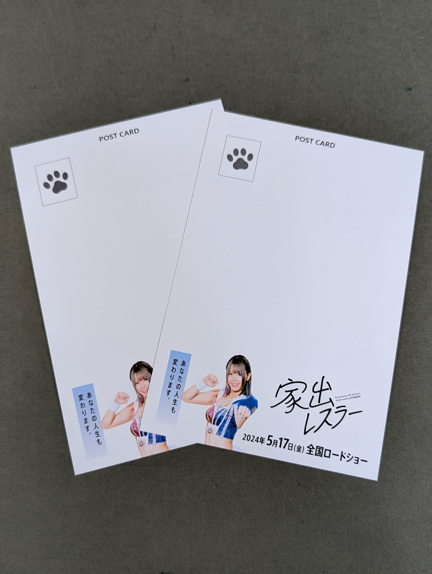 Runaway Wrestler Postcard Set(1)