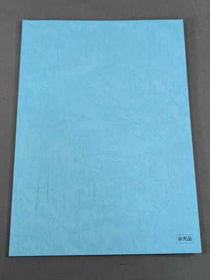 Runaway Wrestler Script Notebook (1)