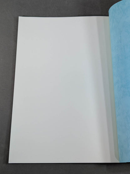 Runaway Wrestler Script Notebook (2)