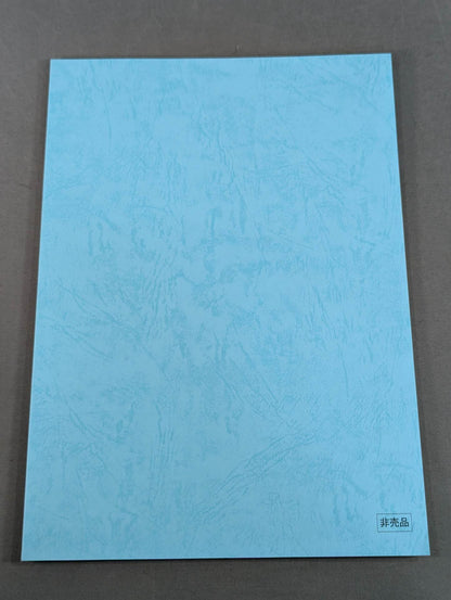 Runaway Wrestler Script Notebook (2)