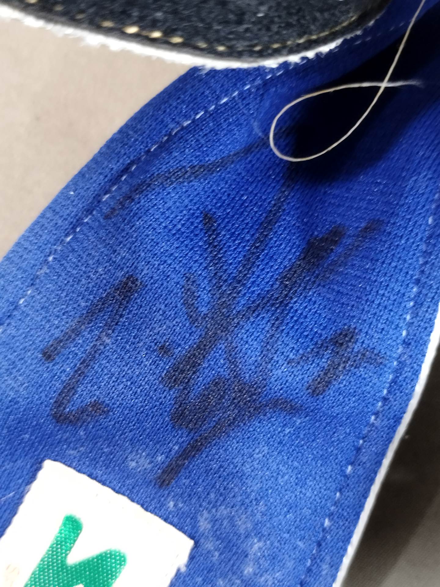 ジ・ウィンガー