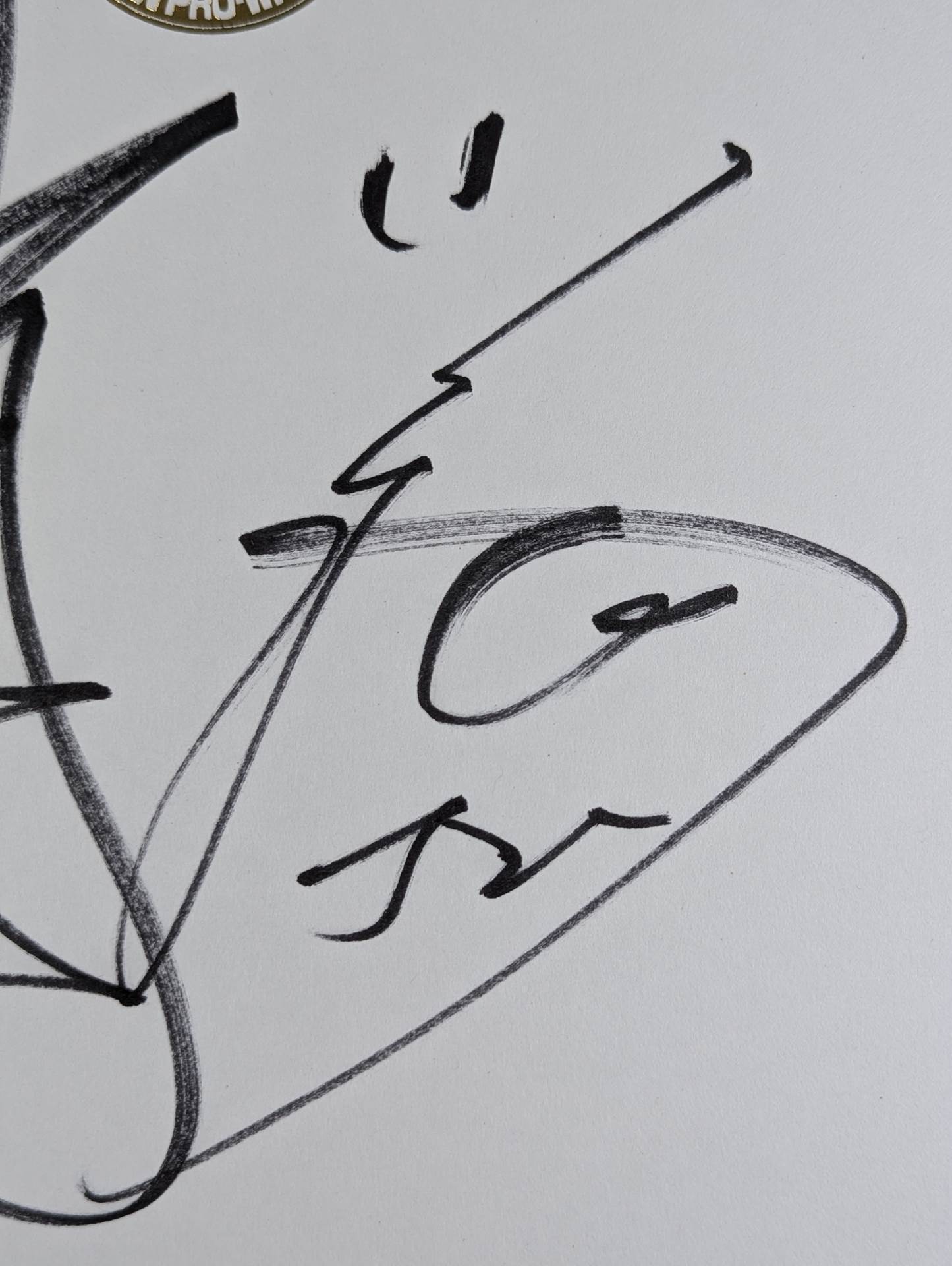 ★ Tenkoji ★ Hiroyoshi Tenzan & Satoshi Kojima (Lion Mark Shikishi ( Autograph board ) )