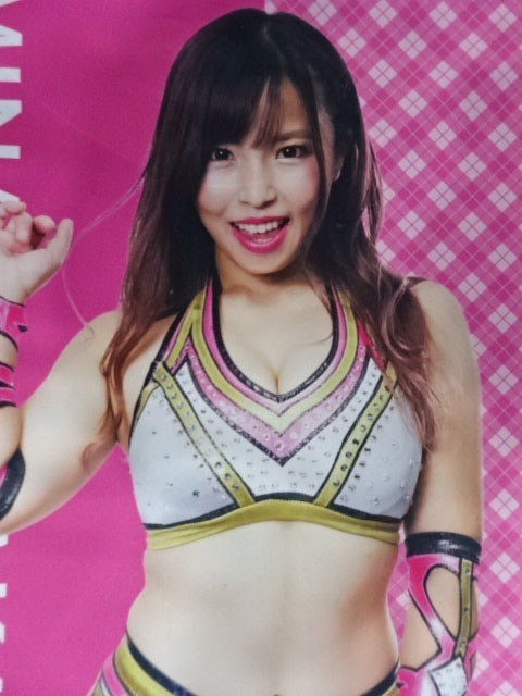 AppBank Store限定 白川未奈 タペストリー – 闘道館