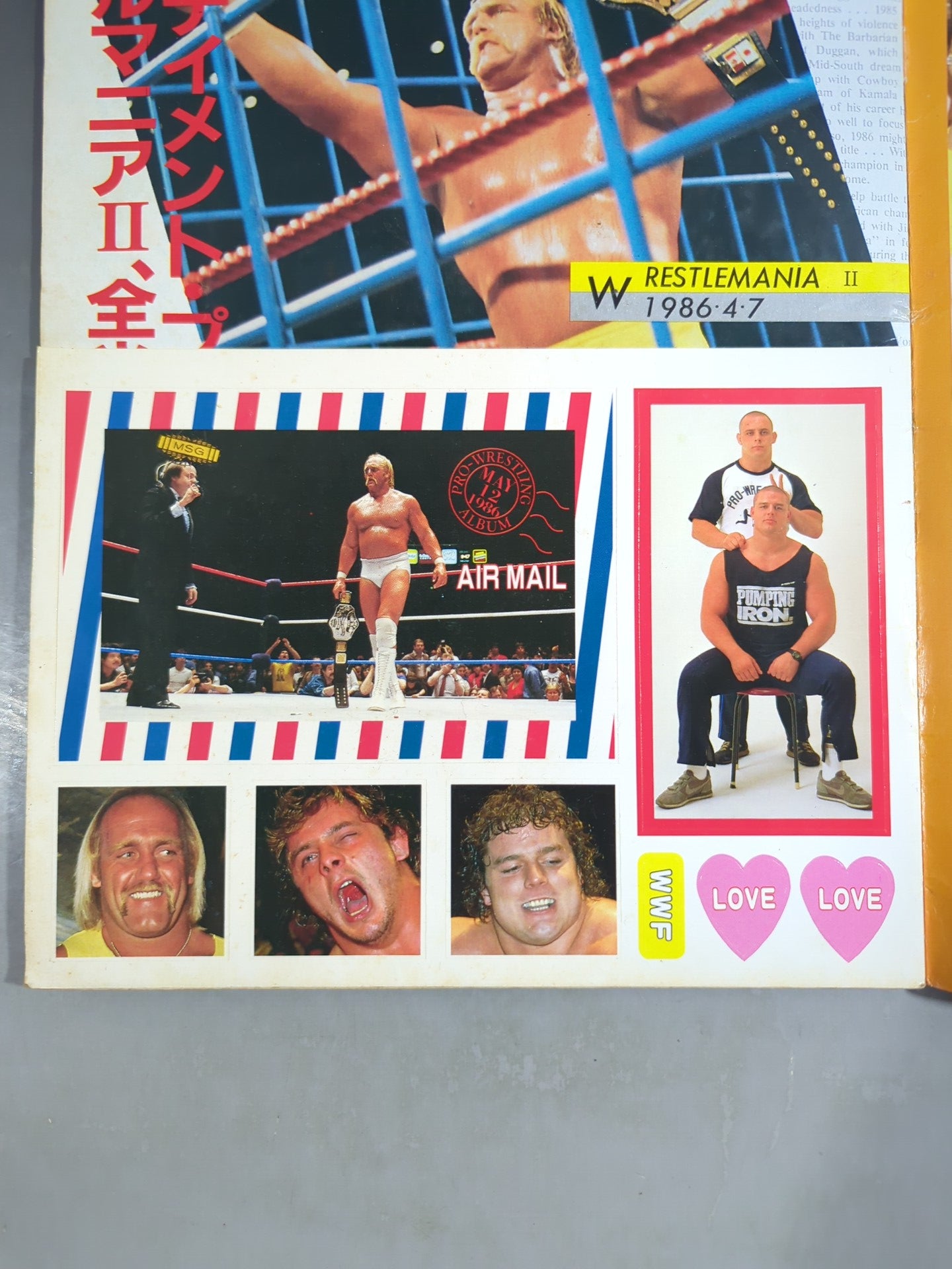 プロレスアルバム67 ザ・WWF – 闘道館 プロレスアルバム67 ザ・WWF – 闘道館