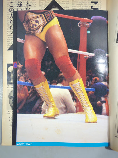 プロレスアルバム67 ザ・WWF