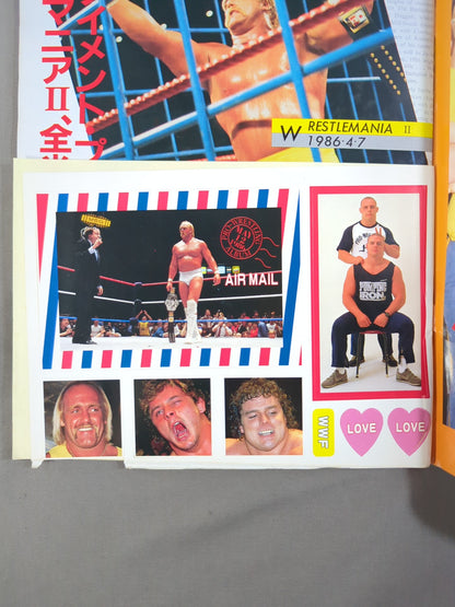 Pro Wrestling  Album 67 The WWF