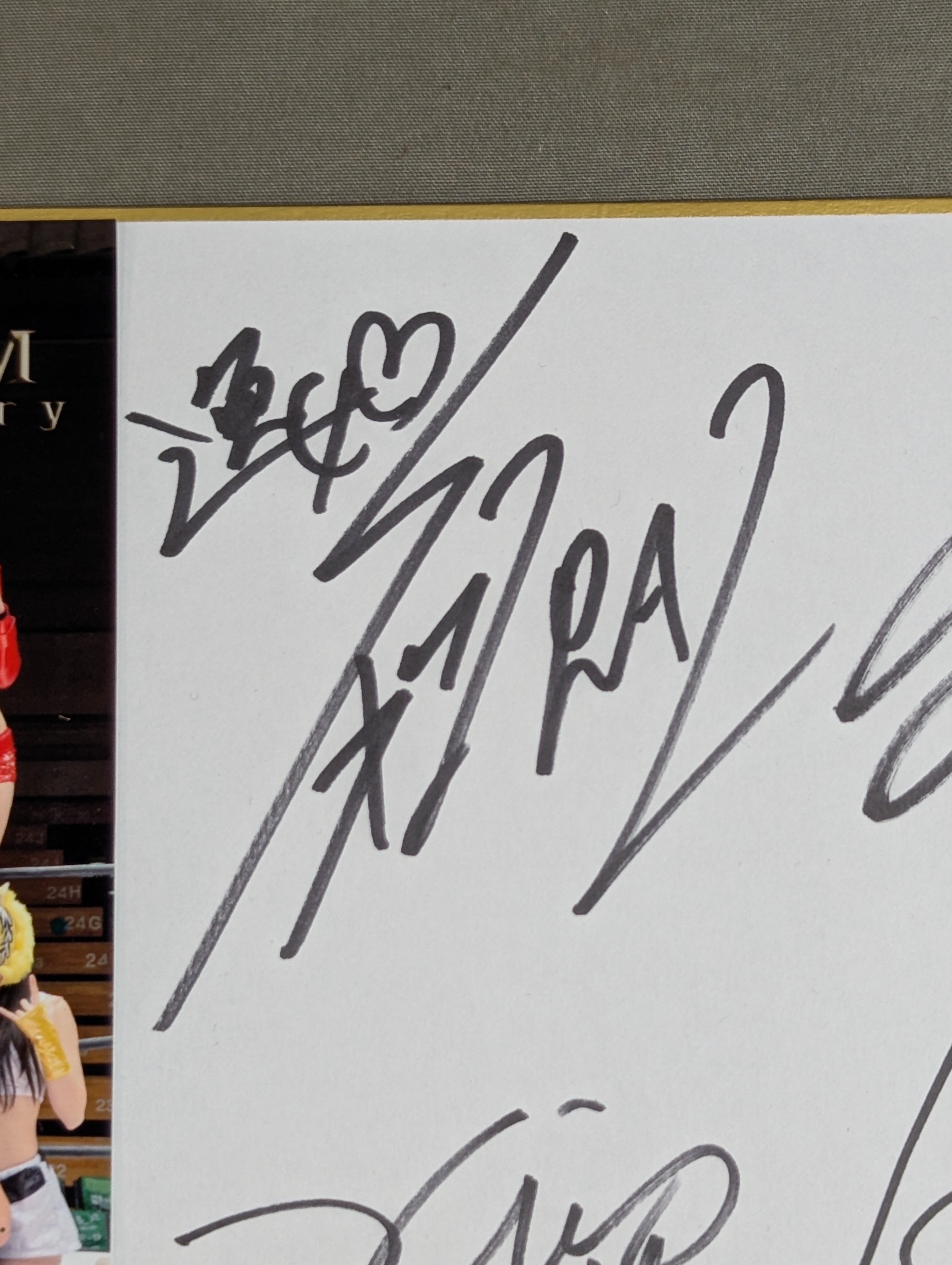 スターダム★イオ着用サイン ☆スターダム旗揚げ5周年記念☆ 11選手寄せ書き(ブロマイド貼付) – 闘道館