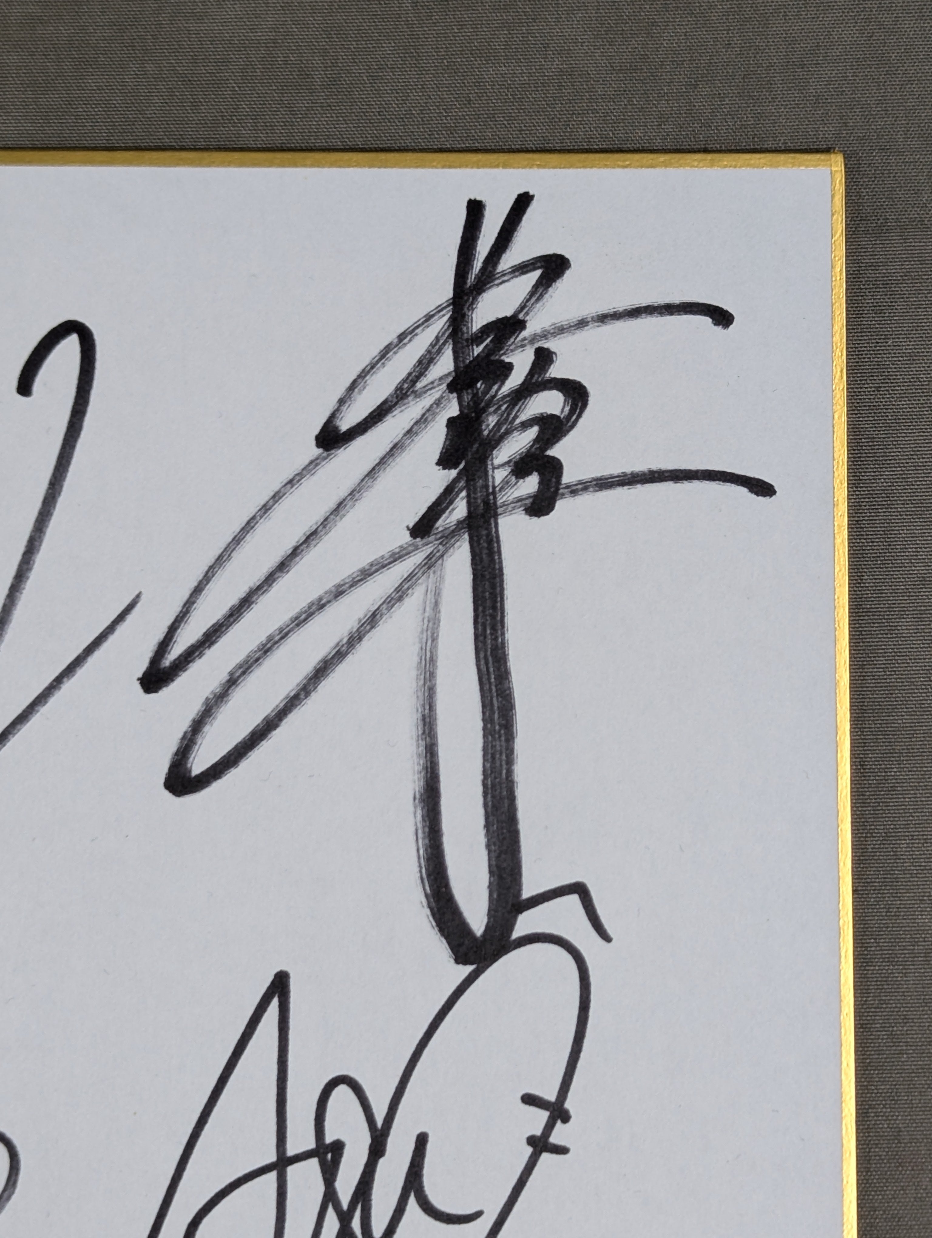 ☆スターダム旗揚げ5周年記念☆ 11選手寄せ書き(ブロマイド貼付) – 闘道館