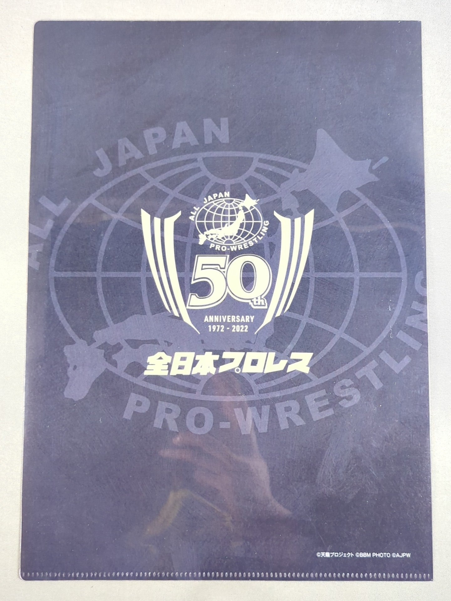 天龍源一郎 全日本プロレス50周年 クリアファイル＆ステッカーセット