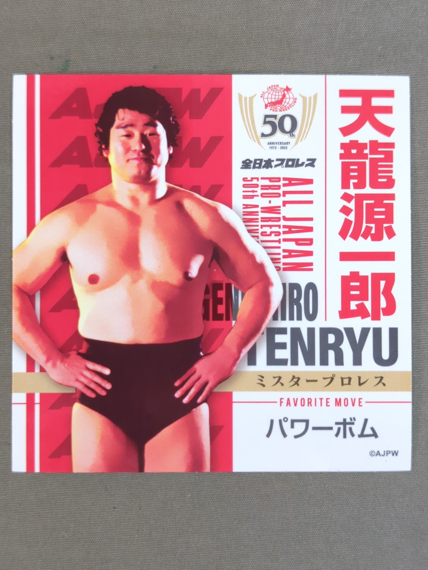 天龍源一郎 全日本プロレス50周年 クリアファイル＆ステッカーセット