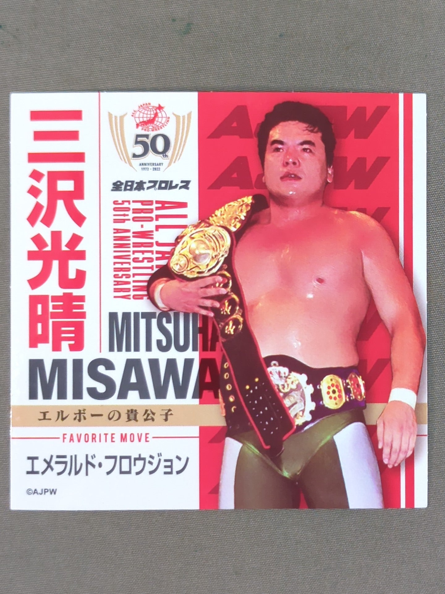 三沢光晴 全日本プロレス50周年 クリアファイル＆ステッカーセット