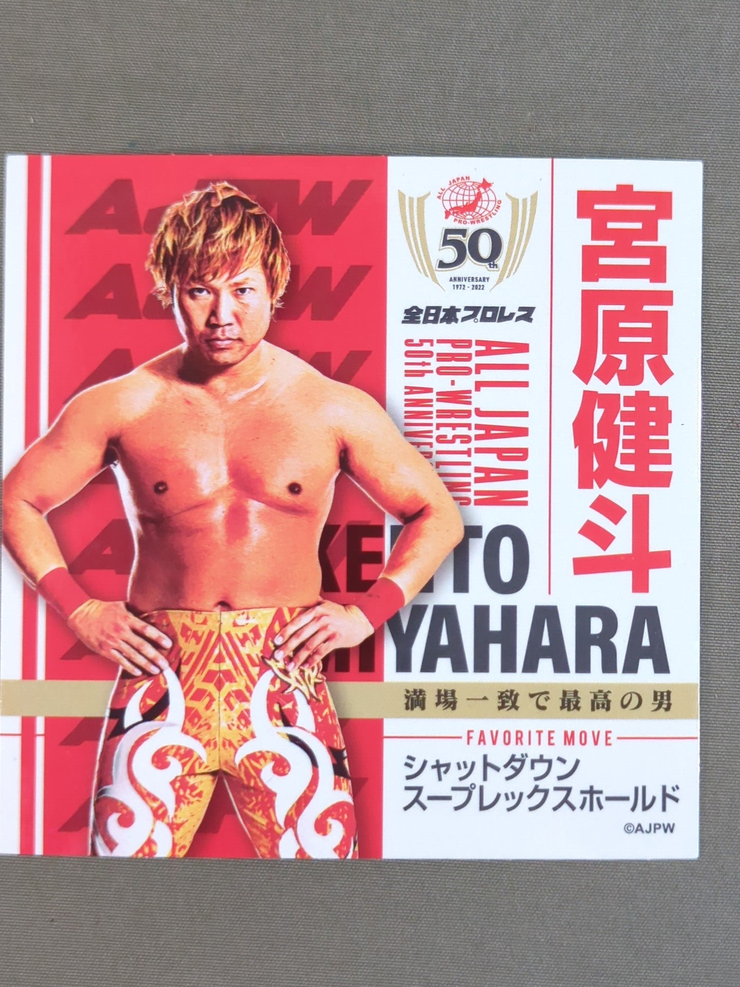 宮原健斗 全日本プロレスプロレス50周年記念 クリアファイル＆ステッカー