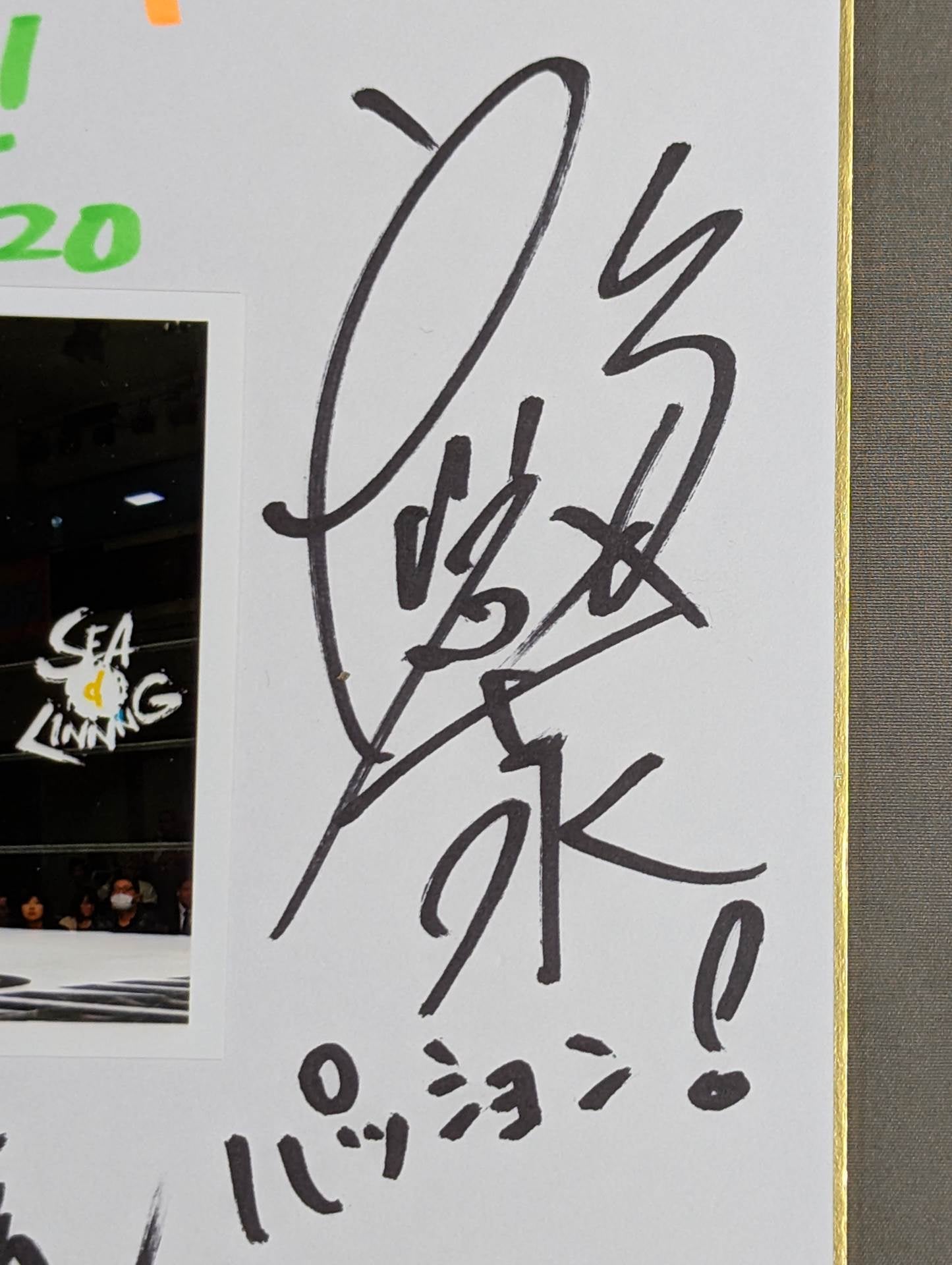 ★SEAdLINNNG★ 南月たいよう＆世志琥＆高橋奈七永(ブロマイド貼付)