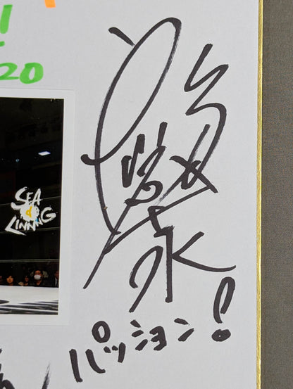 ★SEAdLINNNG★ 南月たいよう＆世志琥＆高橋奈七永(ブロマイド貼付)