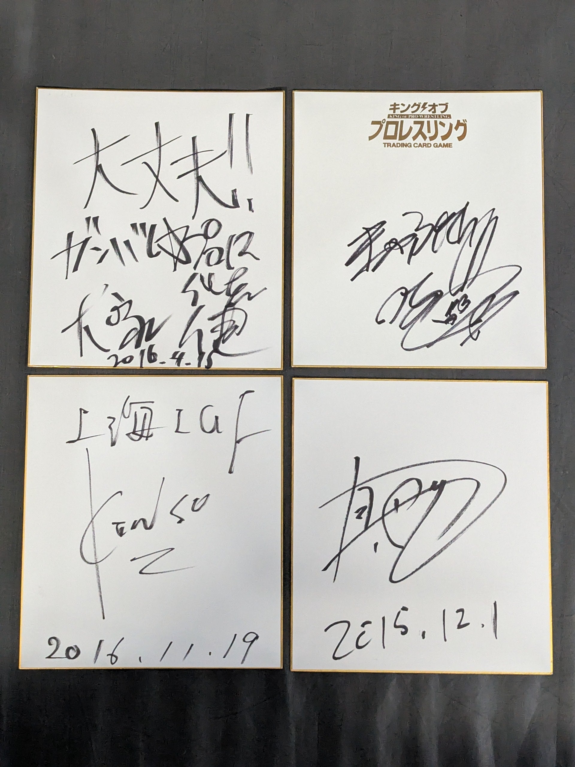 国内プロレスラー サイン色紙セット⑦ – 闘道館