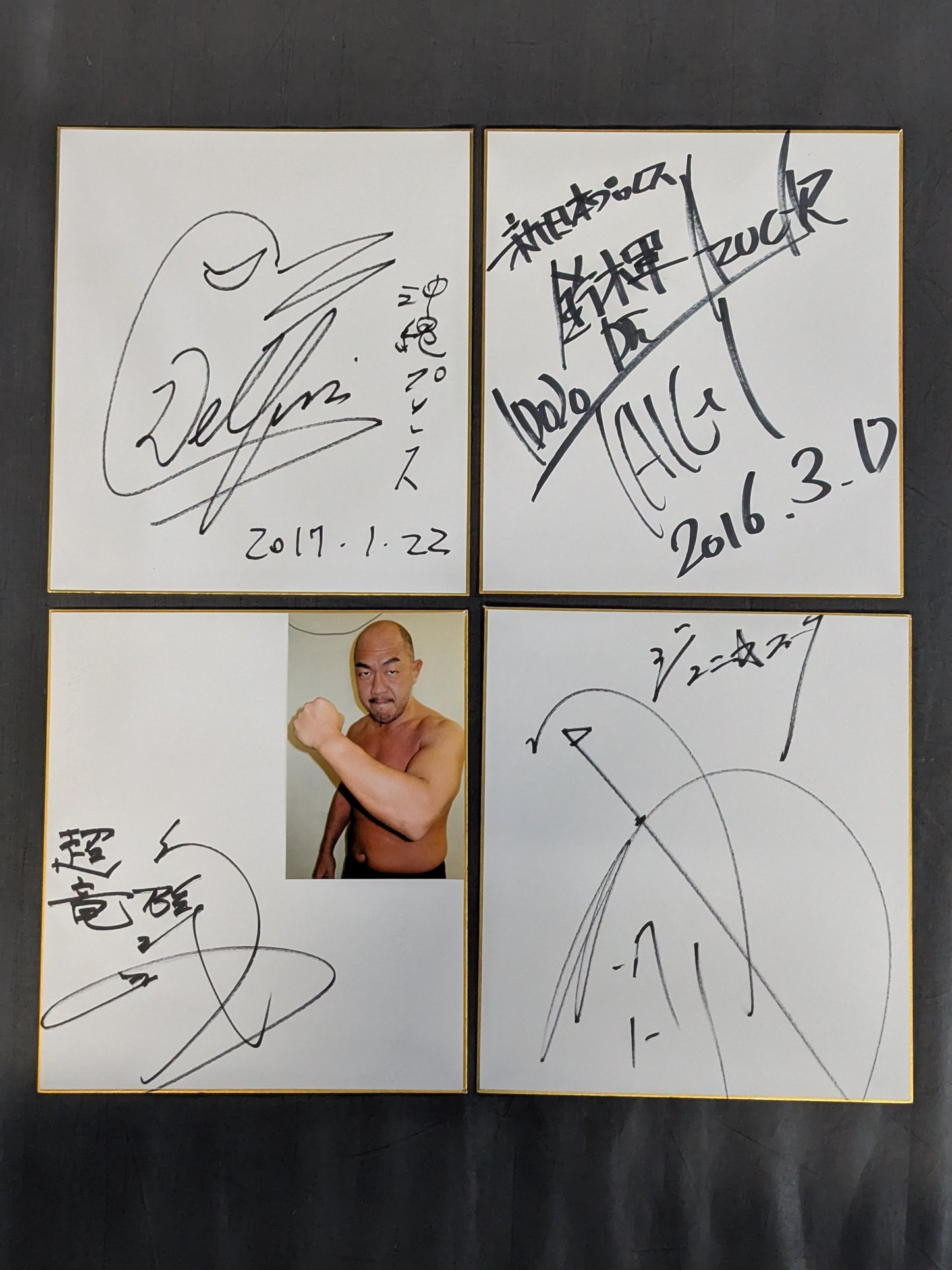 国内プロレスラー サイン色紙セット⑦