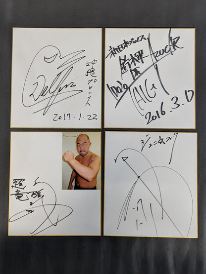 国内プロレスラー サイン色紙セット⑦