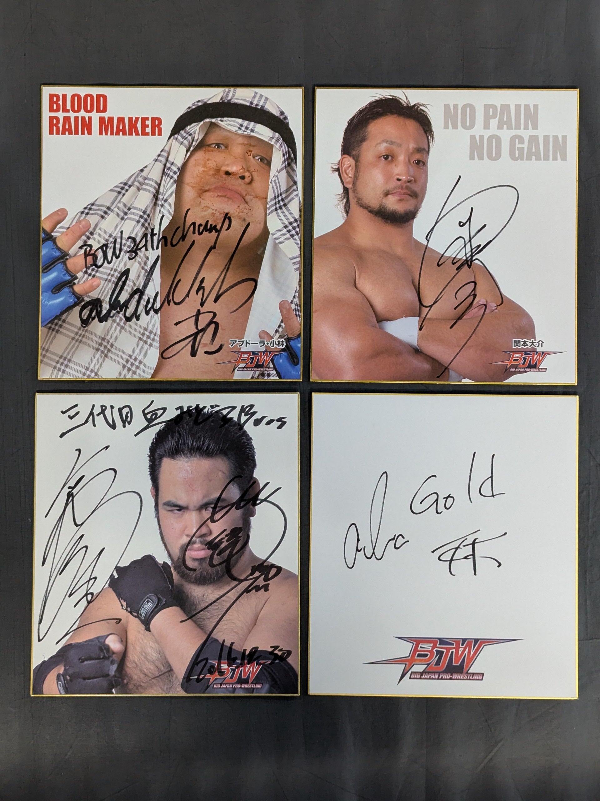 ☆大日魂☆ 大日本プロレス サイン色紙セット – 闘道館